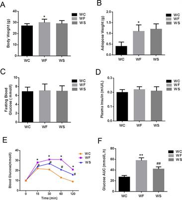 The Effect of Silibinin on Protein Expression Profile in White Adipose Tissue of Obese Mice